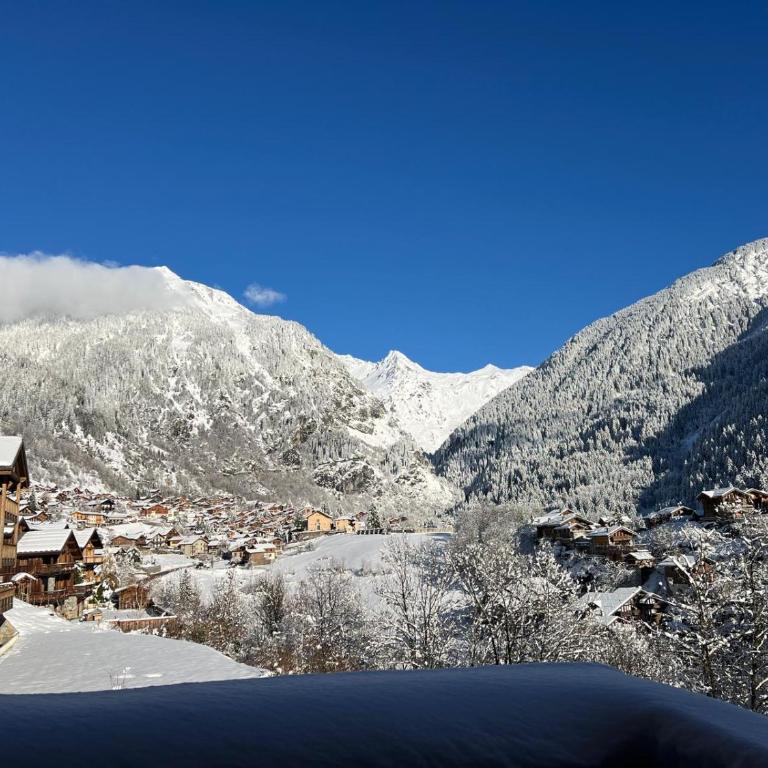Ski & Spa 4 p, Résidence avec Piscine - Appartement 1 Chambre - 10