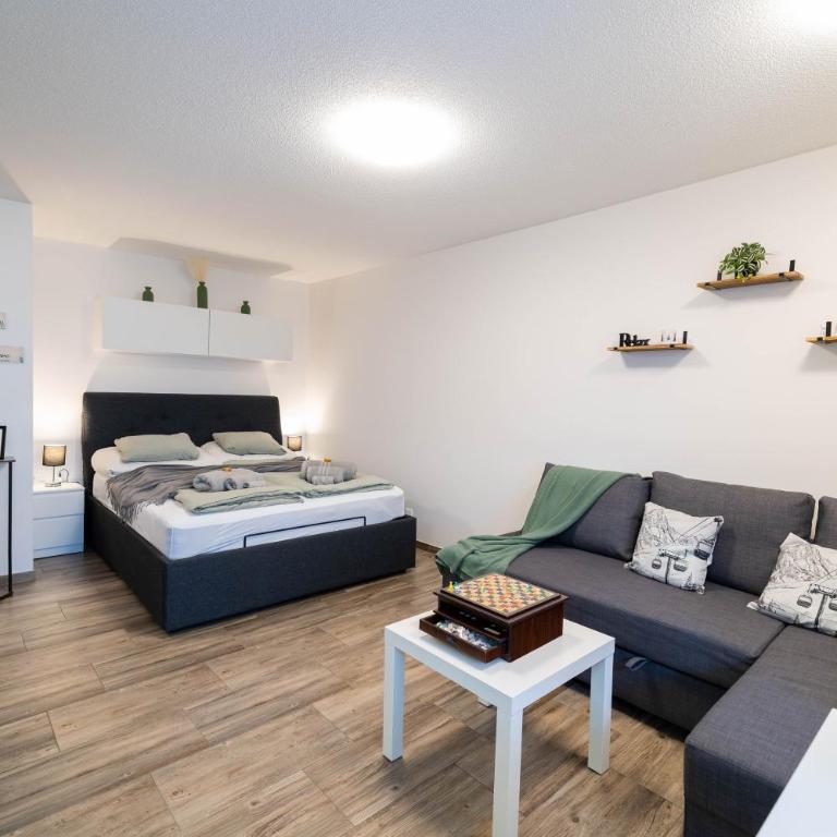 FeelGood Studio I Majing I Leukerbad I Gemmi - Apartment mit 1 Schlafzimmer - 14
