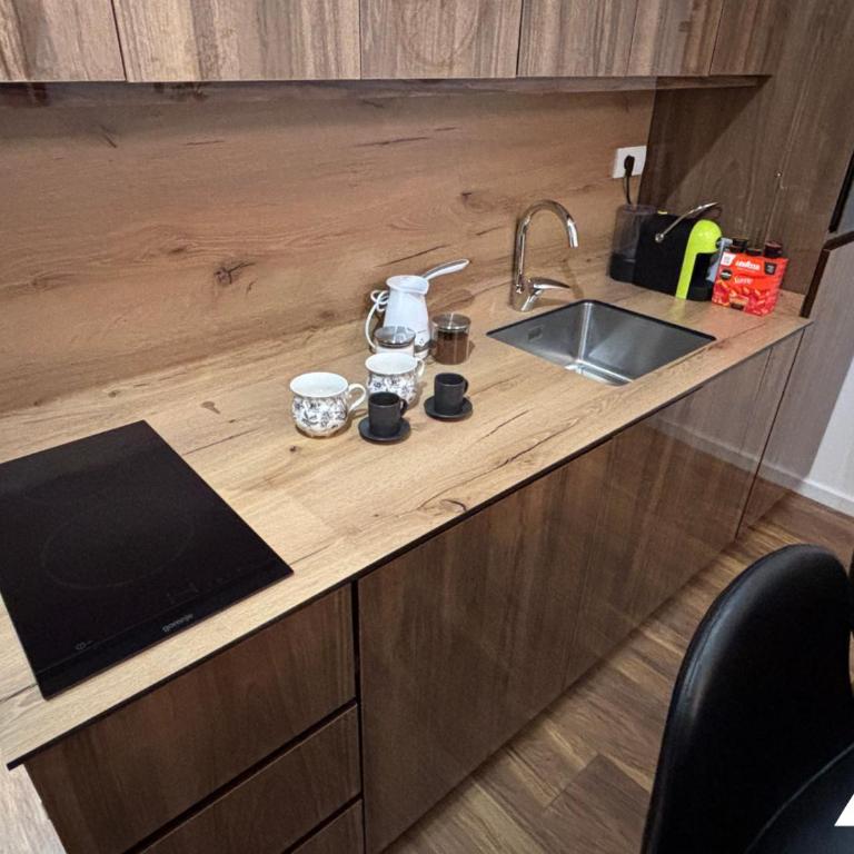 Apartman Herkul - Studio with Mountain View - 10