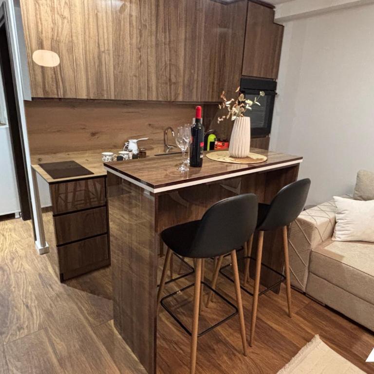 Apartman Herkul - Studio with Mountain View - 9
