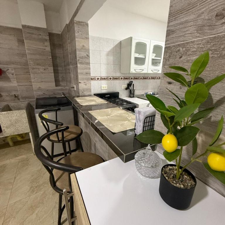 New Central Apartment 101 - Apartamento de 2 dormitorios - 17