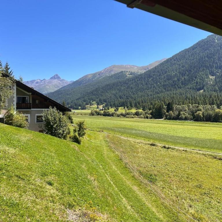 Chesa Merl d'Ova - Apartment mit 1 Schlafzimmer - 11