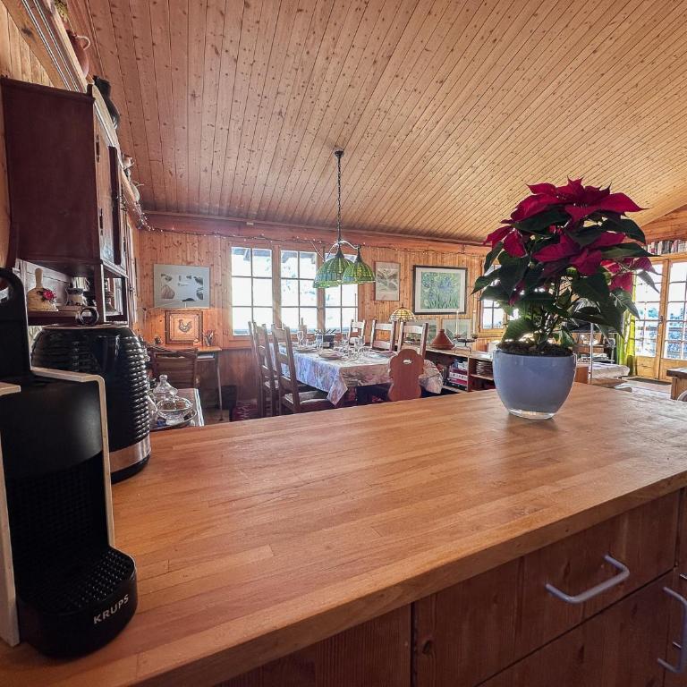 Chalet le Moulin - calme, nature, cheminée, vue - Chalet mit 3 Schlafzimmern - 21