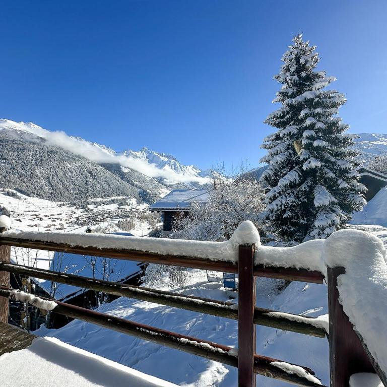 Chalet le Moulin - calme, nature, cheminée, vue - Chalet mit 3 Schlafzimmern - 24