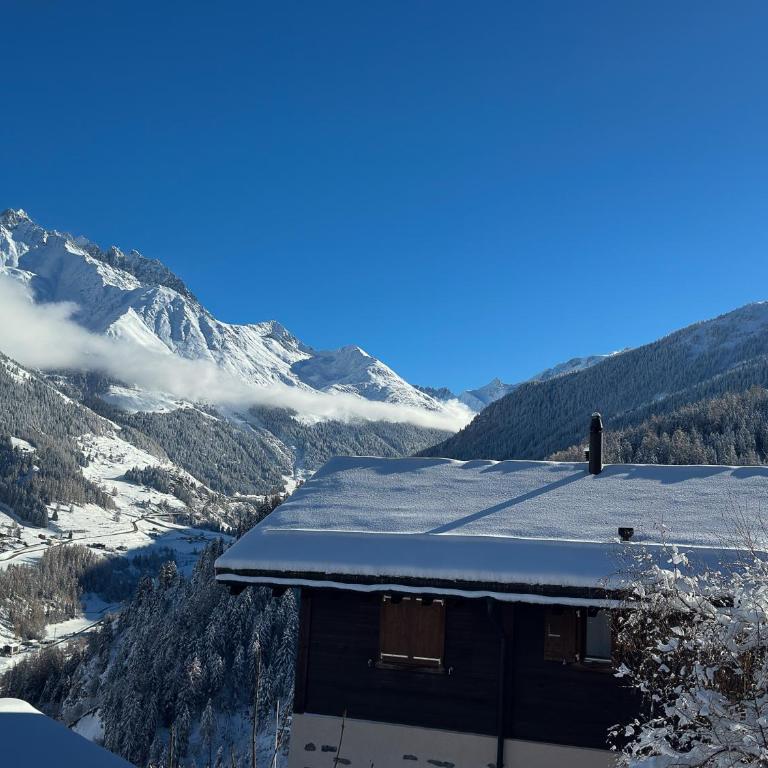 Chalet le Moulin - calme, nature, cheminée, vue - Chalet mit 3 Schlafzimmern - 25