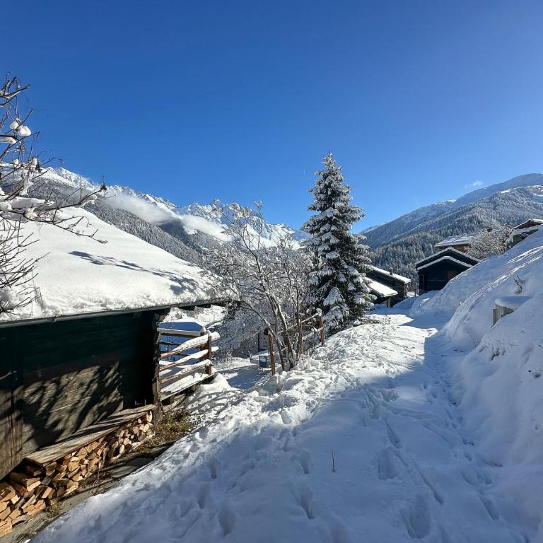 Chalet le Moulin - calme, nature, cheminée, vue - Chalet mit 3 Schlafzimmern - 47