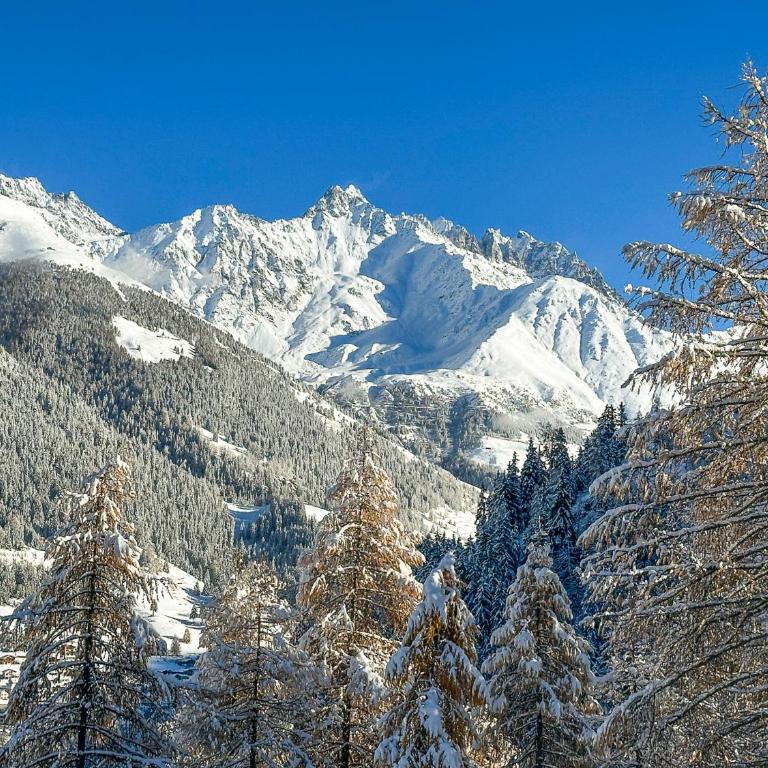 Chalet le Moulin - calme, nature, cheminée, vue - Chalet mit 3 Schlafzimmern - 49