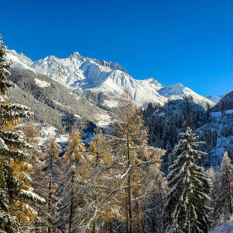 Chalet le Moulin - calme, nature, cheminée, vue - Chalet mit 3 Schlafzimmern - 51