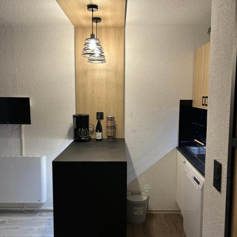Le petit montagnard - Studio cosy à l'Alpe d'Huez - Appartement 1 Chambre - 4
