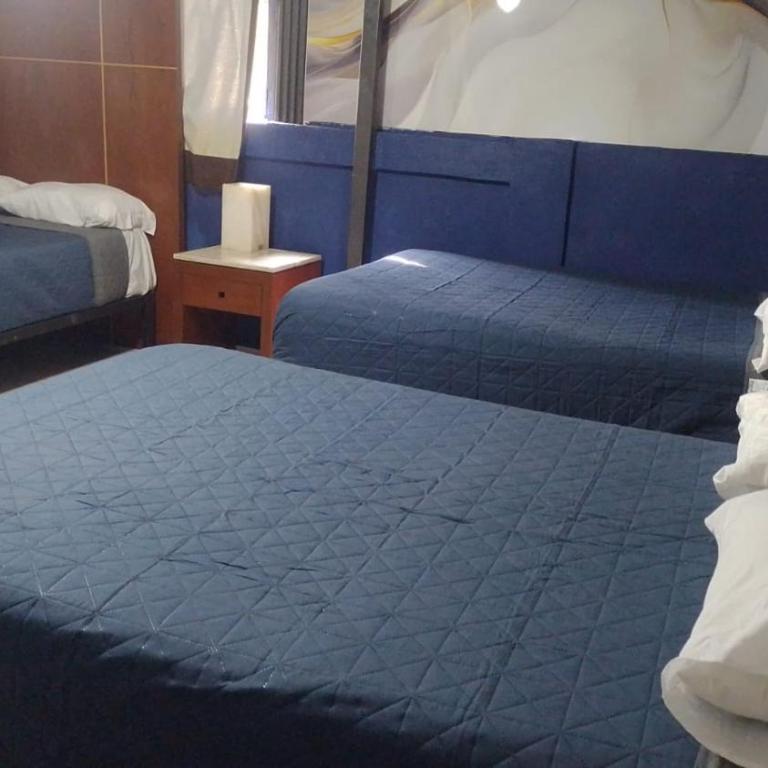 Hotel Puerto México Aeropuerto - Habitación Familiar - 14