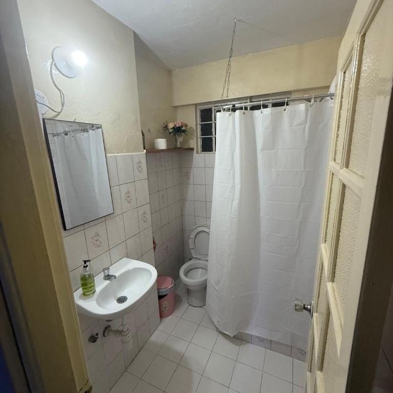 Apartment in Lima's historic center - One-Bedroom Apartment - 5