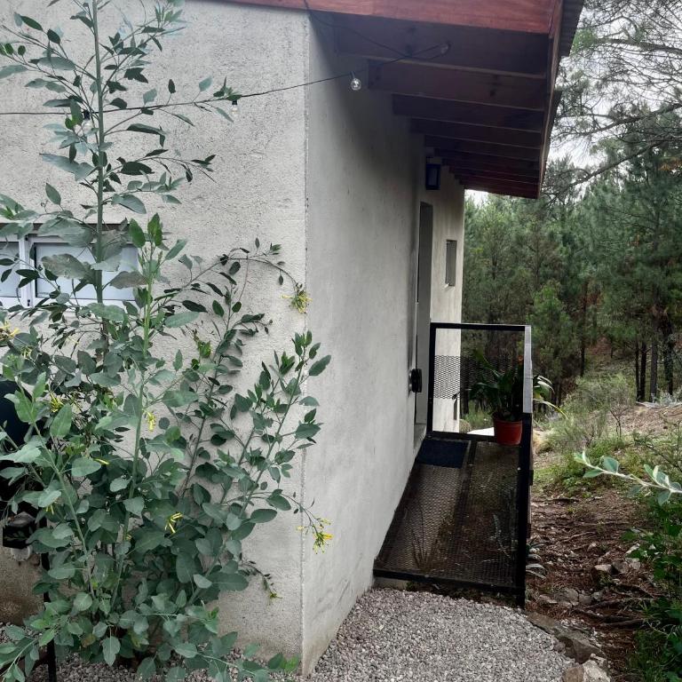 Terrazas del Pinar, Loft con pileta exclusiva en bosque serrano - Chalet de 1 dormitorio - 6
