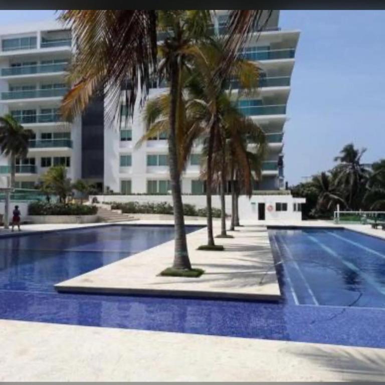 Apartment, with direct access to the sea - Apartment - 1