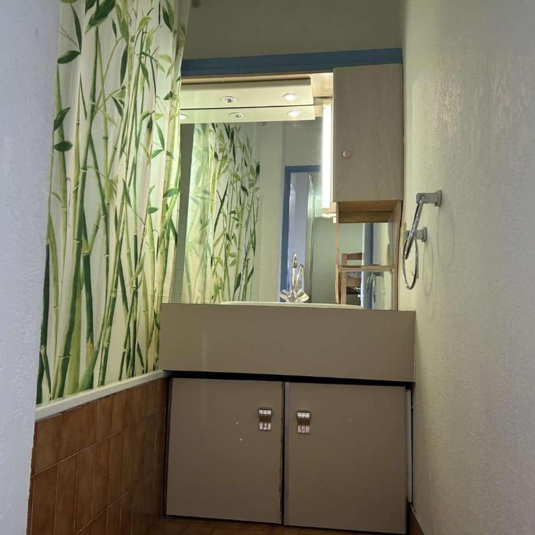 Appartement 4 pers. avec parking à Port Camargue - FR-1-250-324 - Apartment - 19
