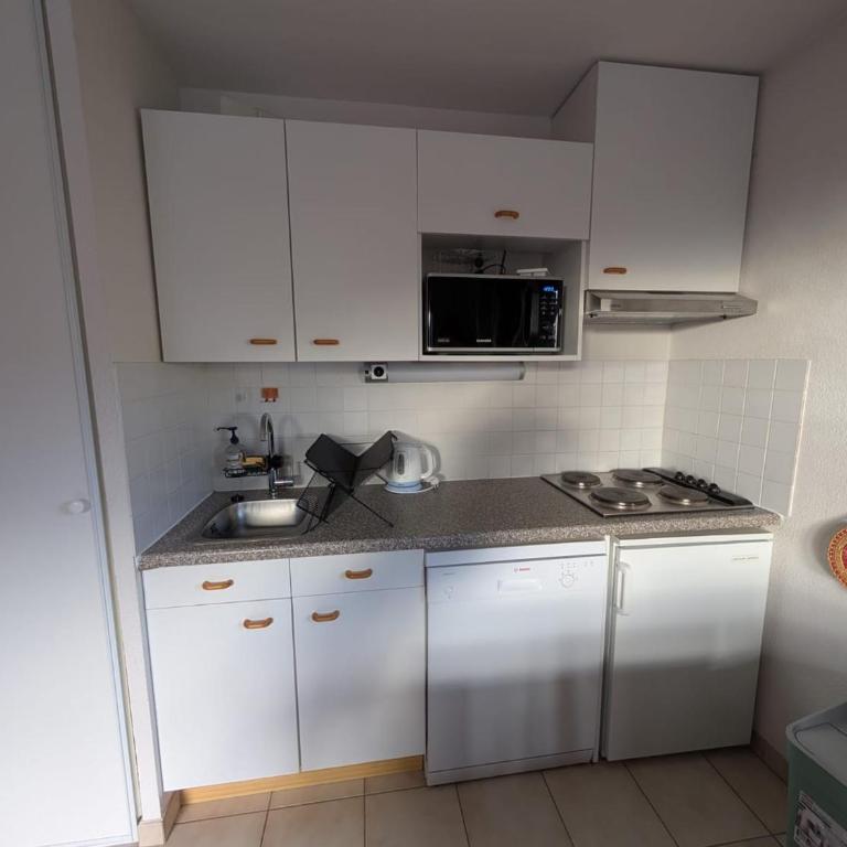 Appartement 4 pers. face aux pistes avec balcon sud, proche ESF - Appartement 1 Chambre - 3