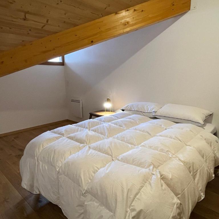 Duplex spacieux proche centre - Animaux admis - FR-1-464-259 - Appartamento - 8