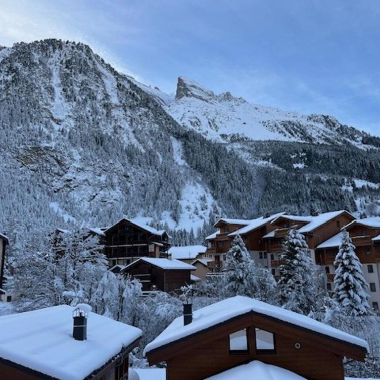 Appartement 4 pièces avec balcon à Pralognan-la-Vanoise - FR-1-464-260 - Apartamento - 9