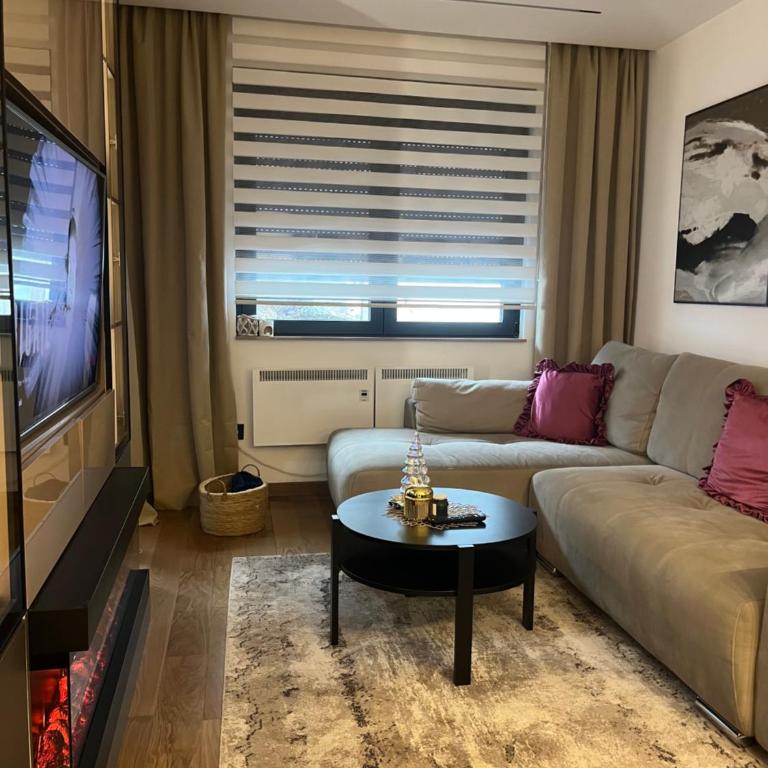 Lazarevic Lux - Vila Pekovic - One-Bedroom Apartment - 10