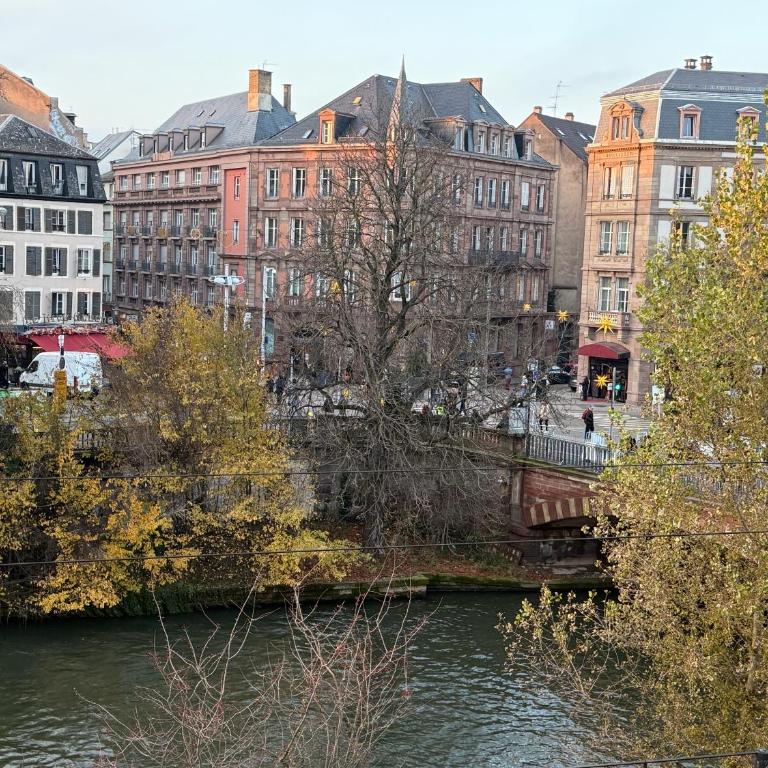L'Ecrin de la Petite France - One-Bedroom Apartment - 5