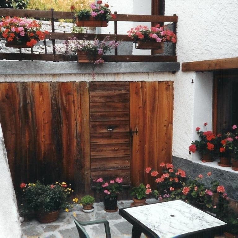 Chez Bernard & Chantal - Appartement - Rez-de-Chaussée - 14