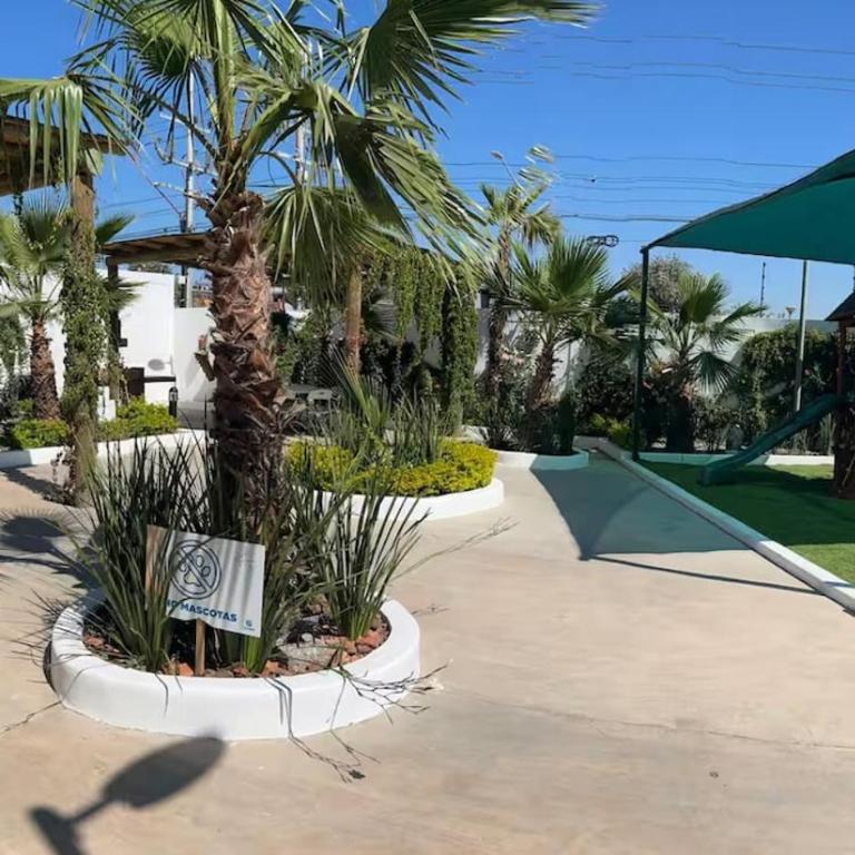 New ground floor apartment, very comfortable and excellent location - Three-Bedroom Apartment - 29