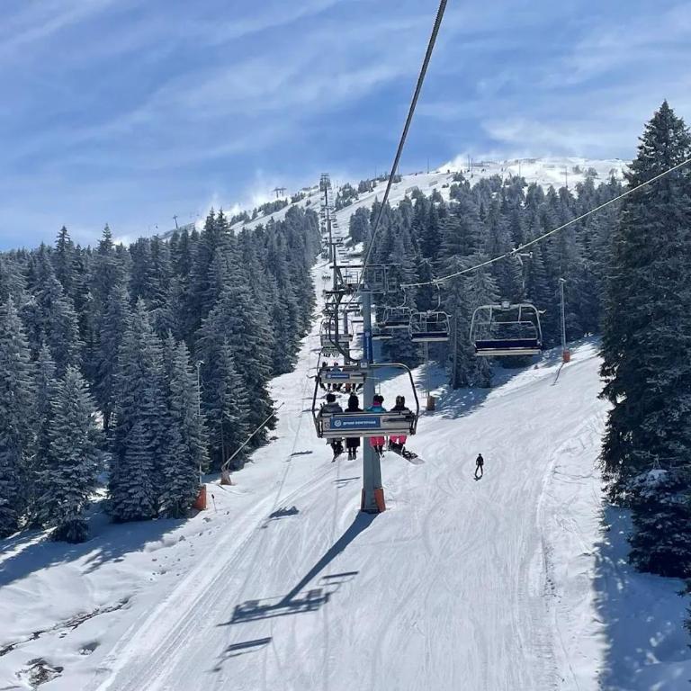 Deluxe Mountain View Studio ViS in Residence Hill Hotel Kopaonik - One-Bedroom Apartment - 13