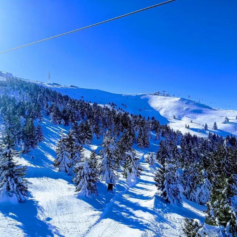 Deluxe Mountain View Studio ViS in Residence Hill Hotel Kopaonik - One-Bedroom Apartment - 26