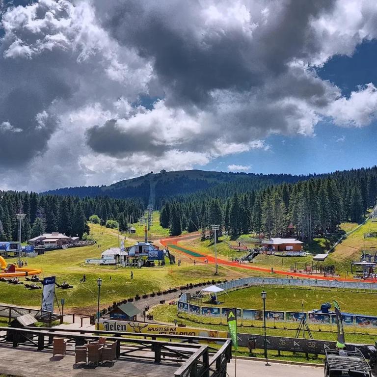 Deluxe Mountain View Studio ViS in Residence Hill Hotel Kopaonik - One-Bedroom Apartment - 23