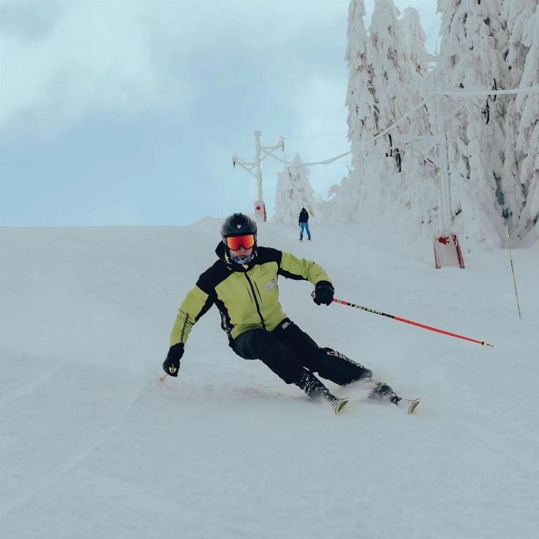 Deluxe Mountain View Studio ViS in Residence Hill Hotel Kopaonik - One-Bedroom Apartment - 7