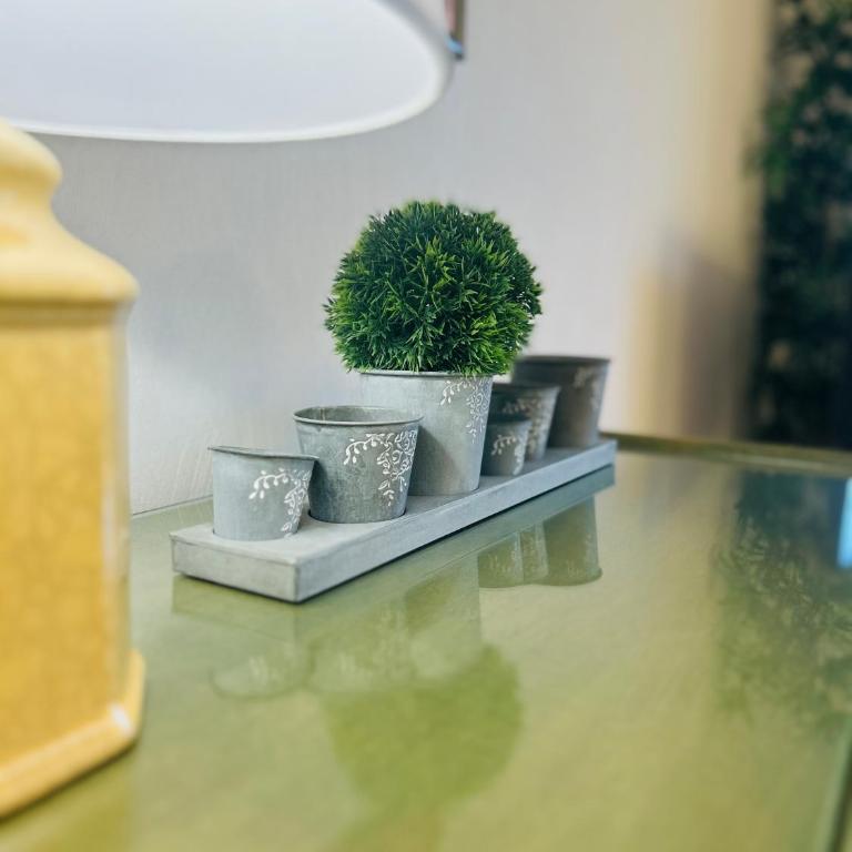 Chez Maryse 2 pièces vue mer parking privé - Apartamento de 1 dormitorio - 19