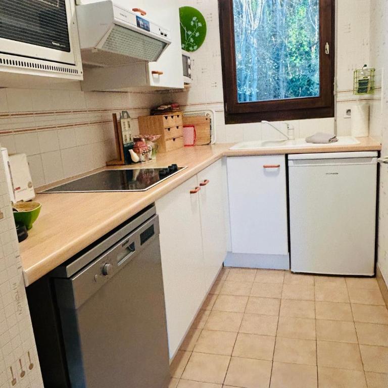 Chez Maryse 2 pièces vue mer parking privé - Apartamento de 1 dormitorio - 13