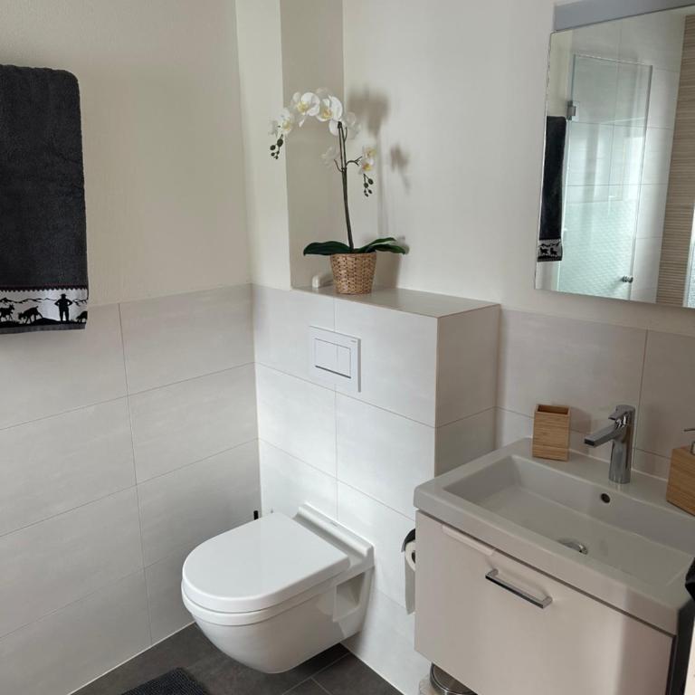 Kleines aber feines Studio - Apartamento de 1 dormitorio - 9