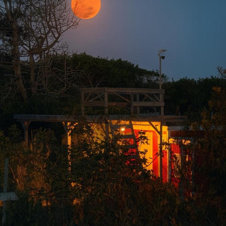 Luna roja - Apartamento de 1 dormitorio - 3