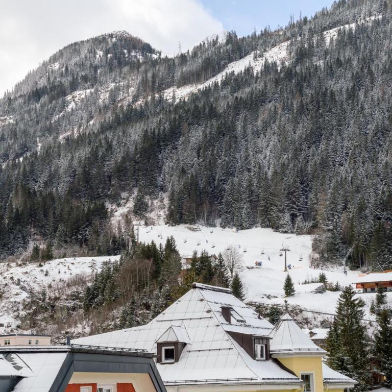 Appartement Zentral im Gasteinertal - Apartment mit 1 Schlafzimmer - 18