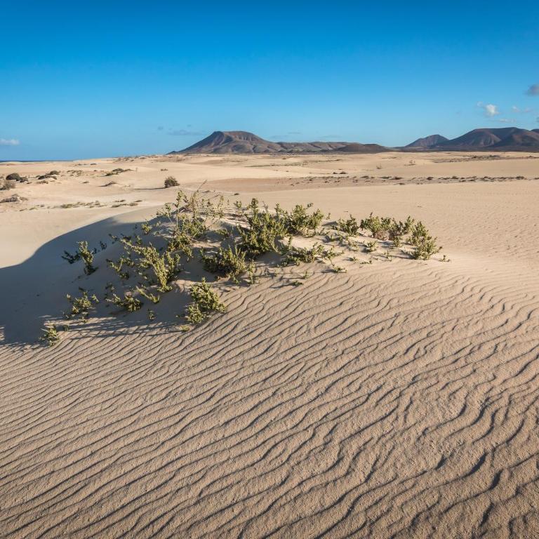 Home2Book Bright Villa with Pool, Corralejo - Villa de 3 dormitorios - 25