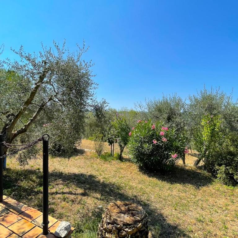 Mas provencal de charme - 6 personnes - proche de Grasse - Maison de Vacances - 4