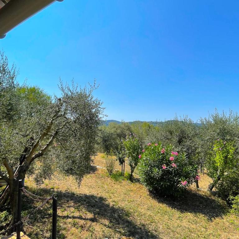 Mas provencal de charme - 6 personnes - proche de Grasse - Maison de Vacances - 29