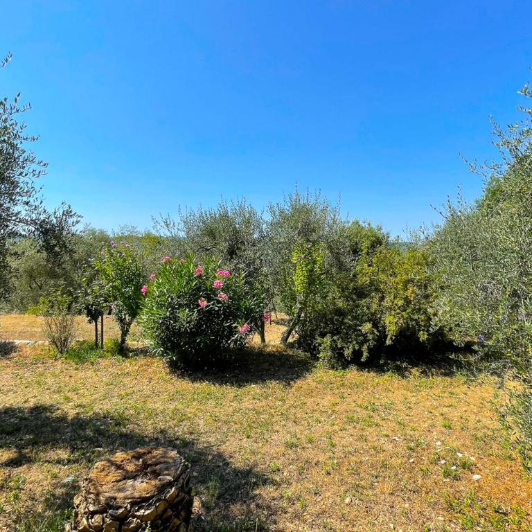 Mas provencal de charme - 6 personnes - proche de Grasse - Maison de Vacances - 30
