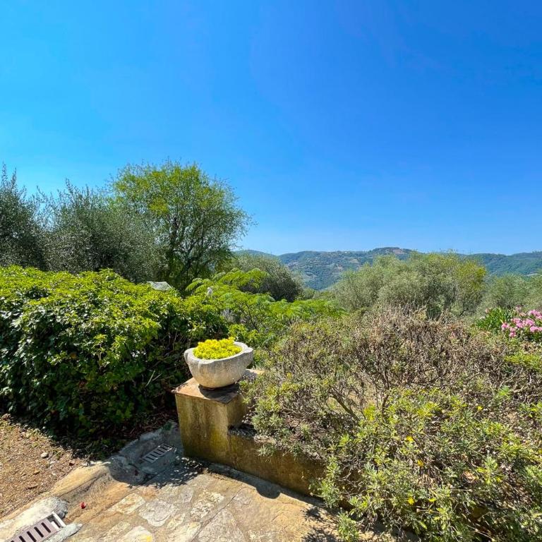 Mas provencal de charme - 6 personnes - proche de Grasse - Maison de Vacances - 31