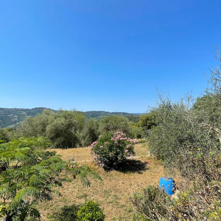 Mas provencal de charme - 6 personnes - proche de Grasse - Maison de Vacances - 32