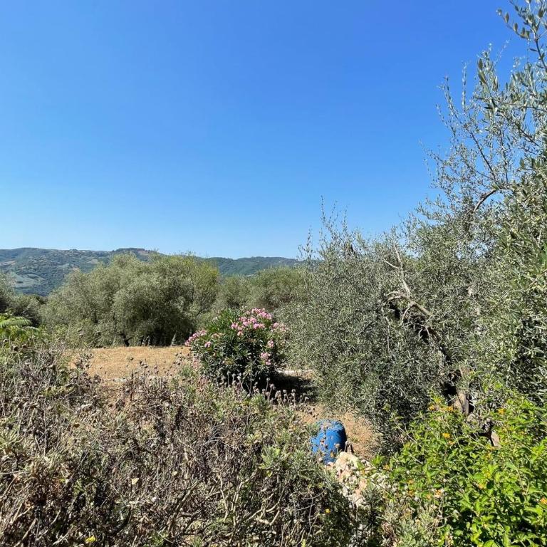 Mas provencal de charme - 6 personnes - proche de Grasse - Maison de Vacances - 33