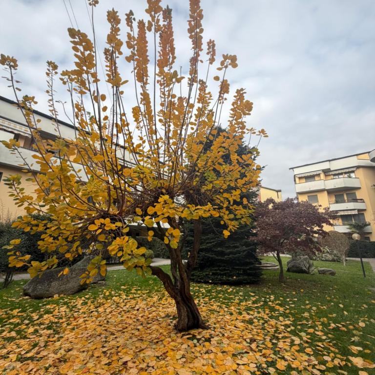 ANADÌA apartment - Appartamento con 1 Camera da Letto - 16