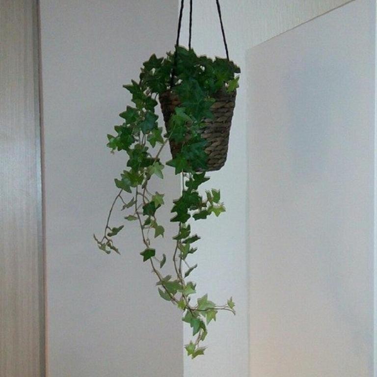 Appartamenti della Rotonda - Studio - 15