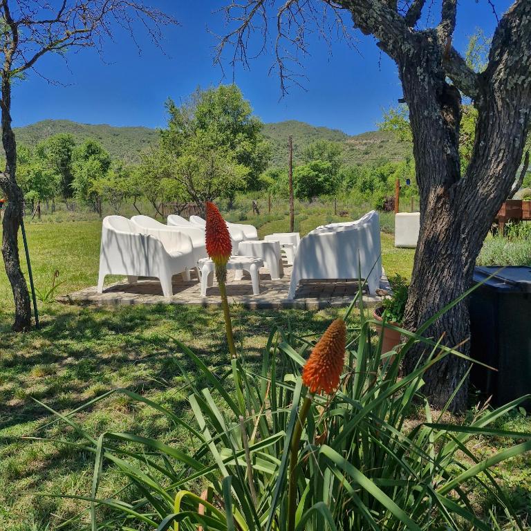 die lavendel chalet - Two-Bedroom House - 19