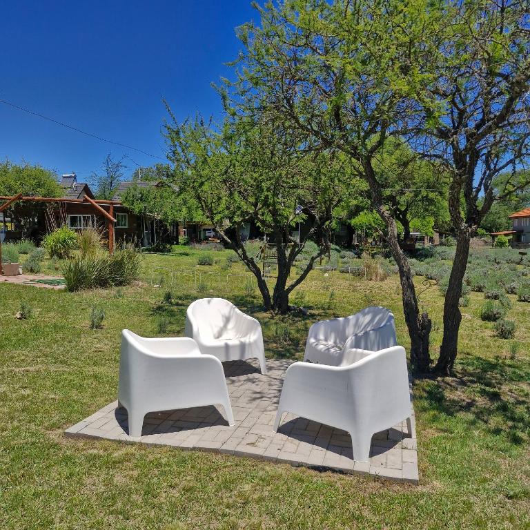die lavendel chalet - Two-Bedroom House - 24