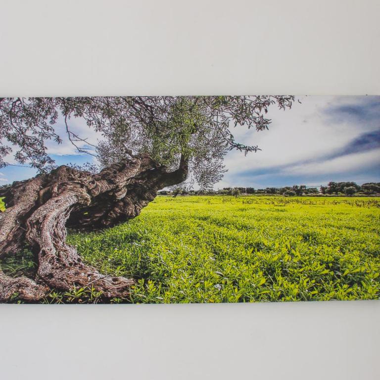Borgo Tortorella by IL PUMO DI PUGLIA - Casa con 1 Camera da Letto - 40