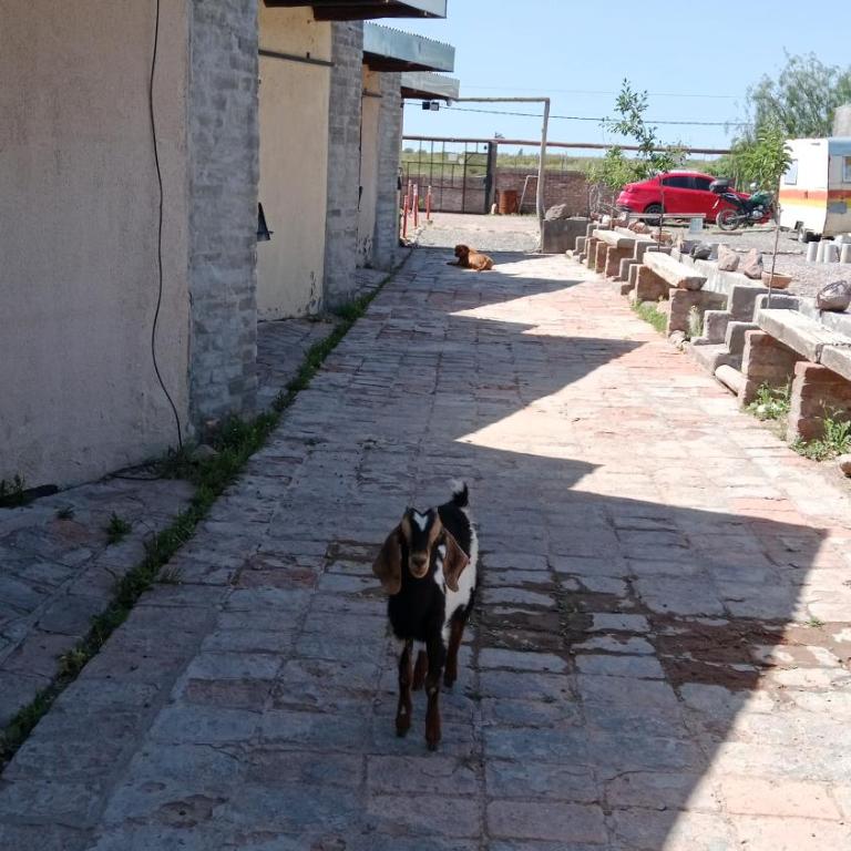 Rincón Moscatel - Apartamento de 1 dormitorio - 2