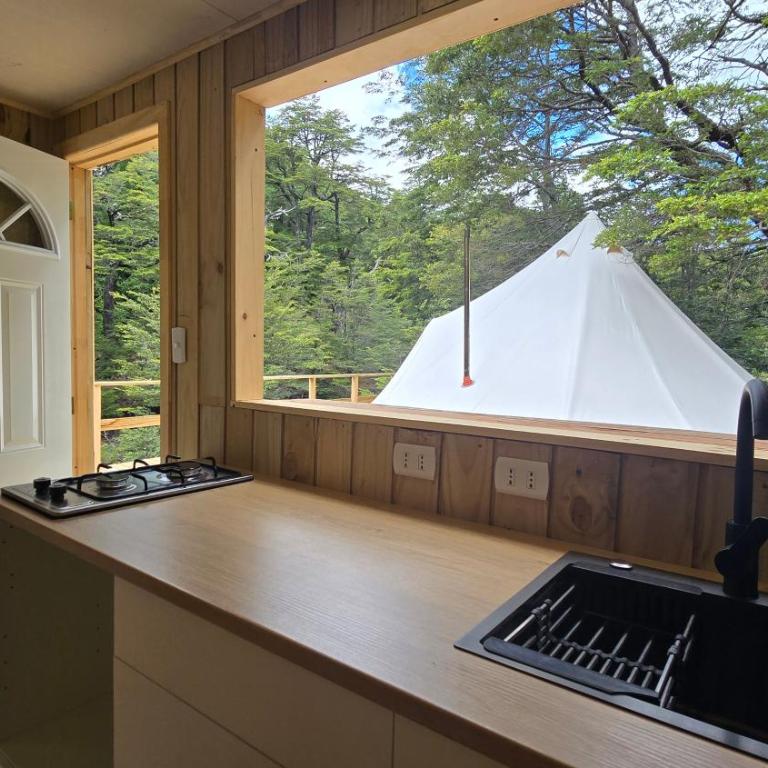 Tinaja, río y bosque en Conguillío - Tent - 17