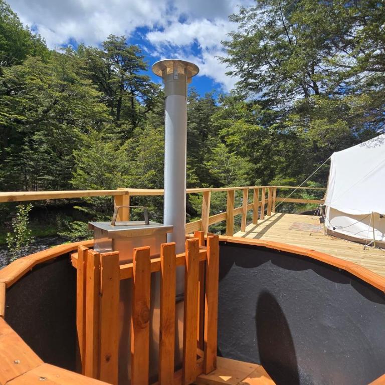 Tinaja, río y bosque en Conguillío - Tent - 19
