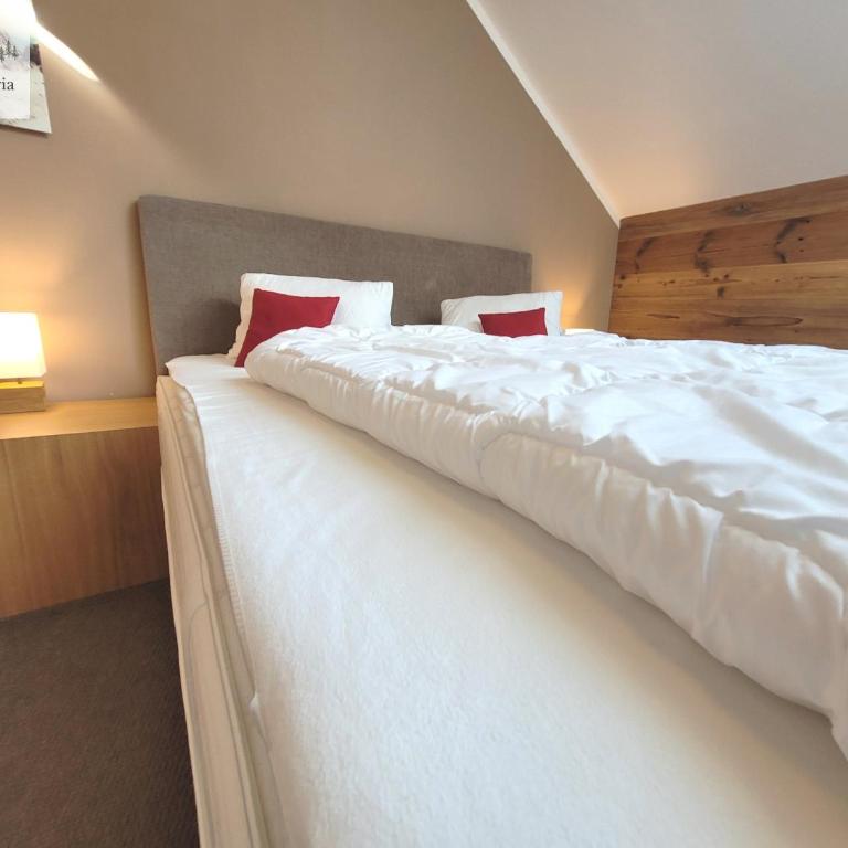 Mountain Suite A10 - by FiS - Penthouse-Apartment - 6
